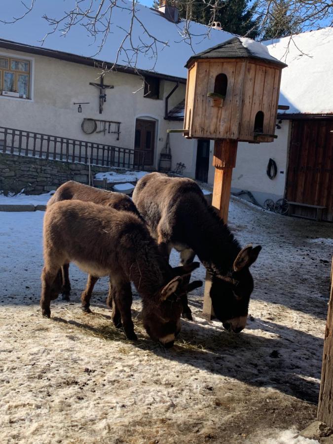Chalupa Gretl Pohorsko Eksteriør bilde